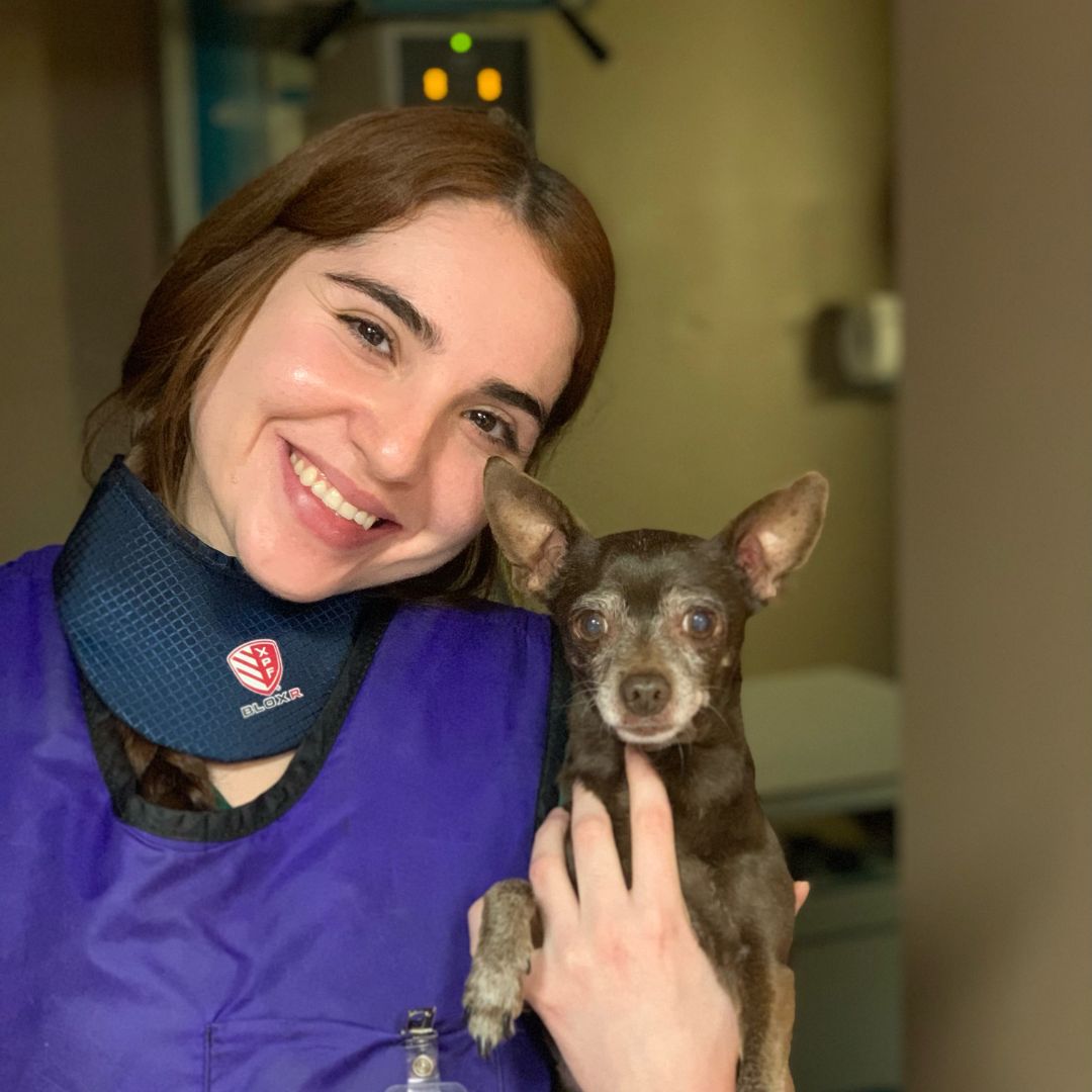 a vet holding a dog